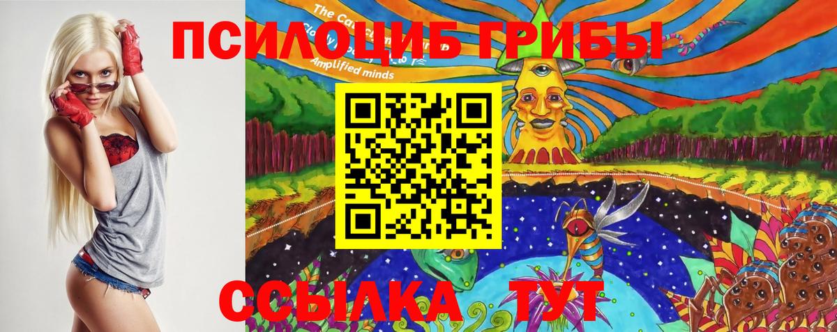 Югорск  Псилоцибиновые грибы Psilocybine cubensis  Вход с VPN 